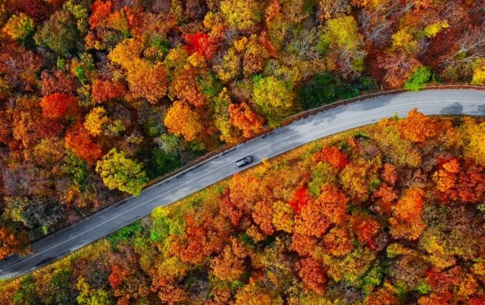 Golden Years, Golden Leaves: Top Late-Season Autumn Trips